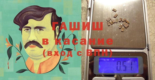 индика Пестово